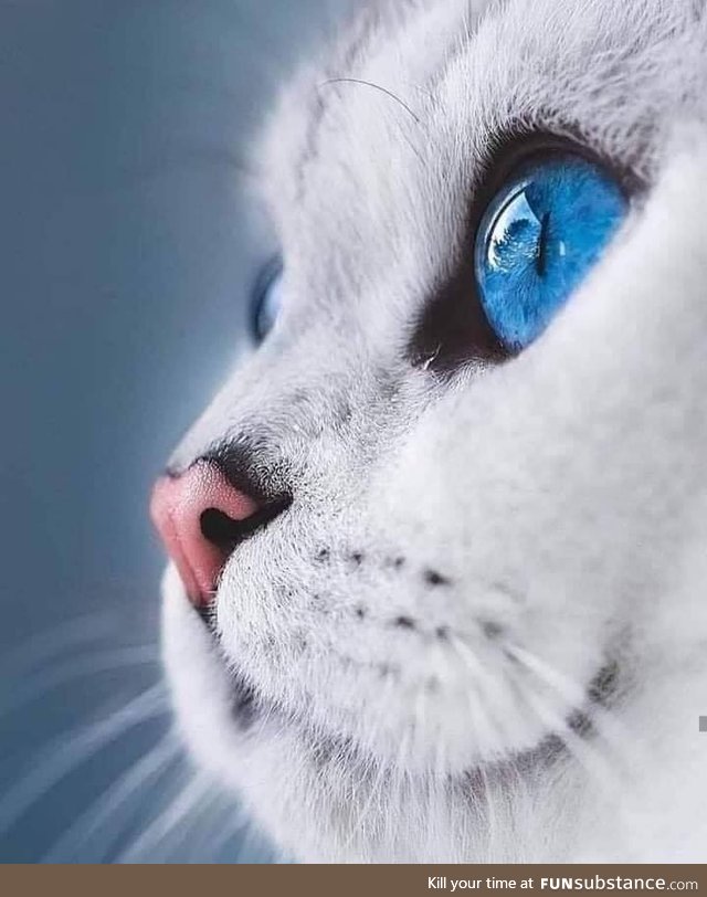 Those eyes