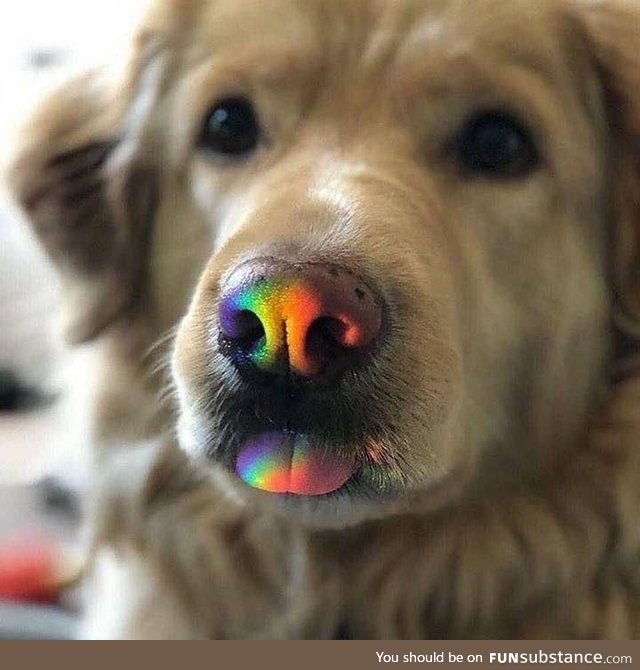 Rainbow bleps