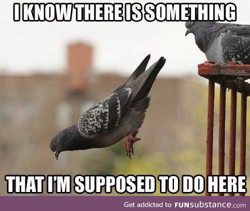 Dang it, I forgot, again