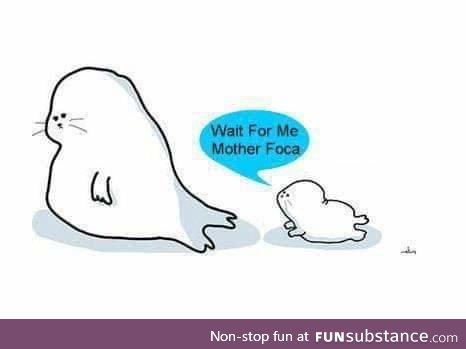 Madre Foca