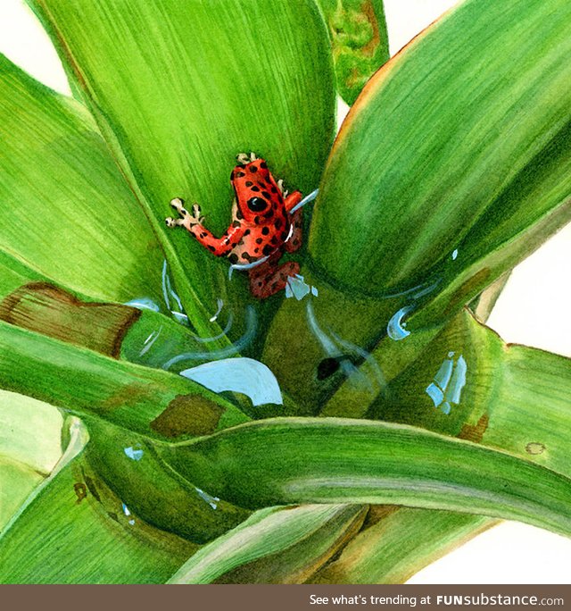 Froggo Fun #70 - Happy Women's/Mother's Day!