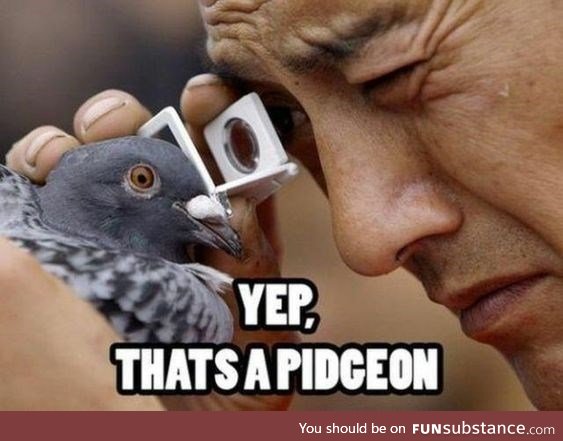 @mr_pigeonwizard that's exactly how I imagine you.