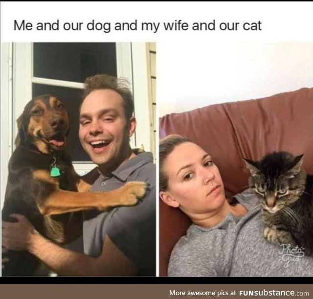 Dog type vs. Cat type