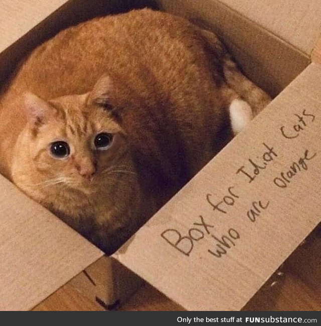 You fool! You feel victim for one of the classic blunders!