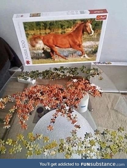 First time completing a puzzle... This shit is easy