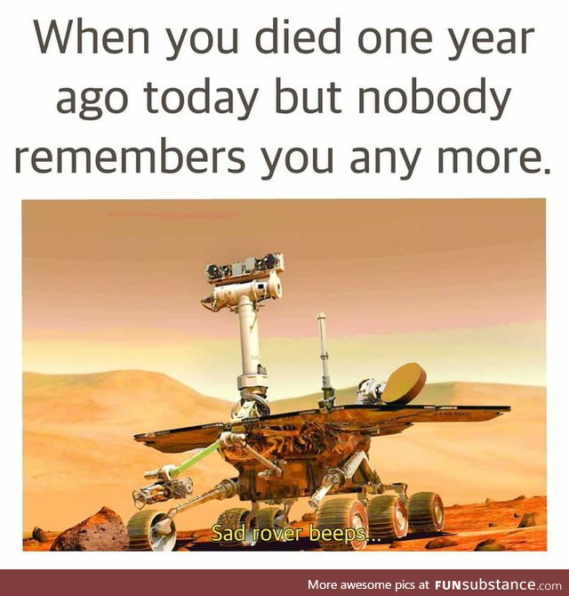 Brave lil rover