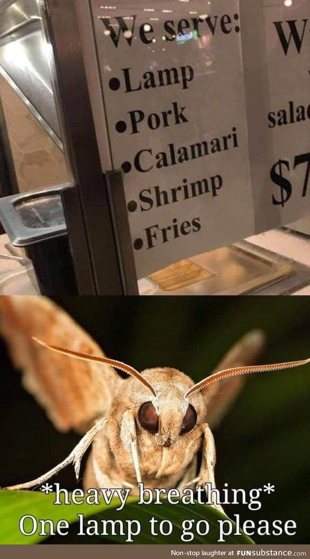 Best lamp in town