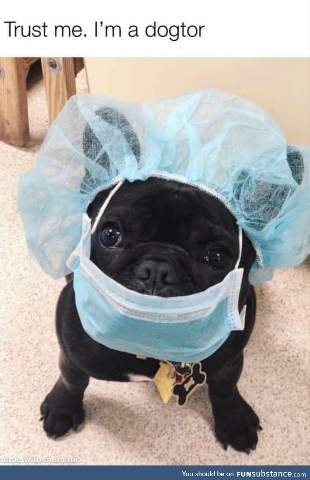 Trust him, he's a dogtor