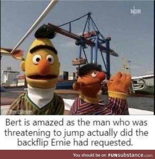 Give me your best bert&ernie memes