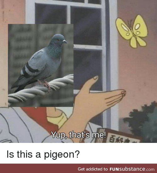Is this a meme?
