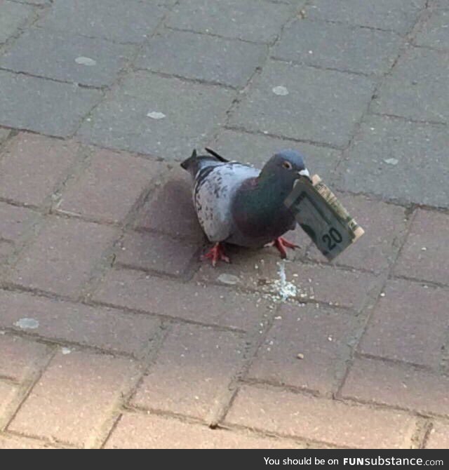 One meme pls