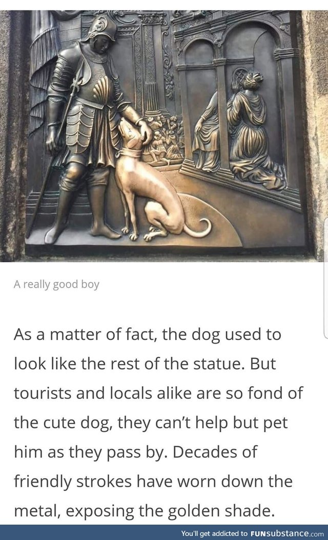 The good boy - a history