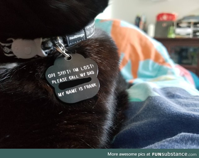 My cats new tag