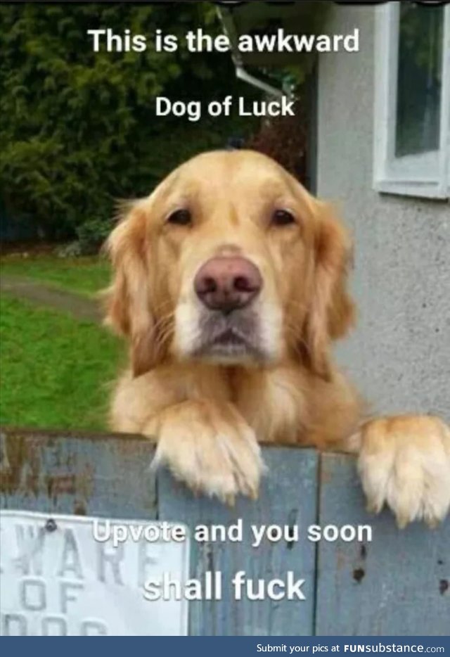 Good luck bro's