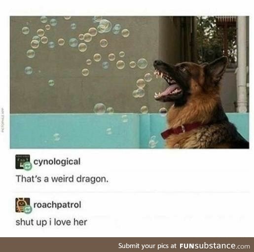 Behold The Bubble-Breathing Dragon