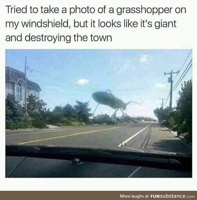 Giant grasshopper