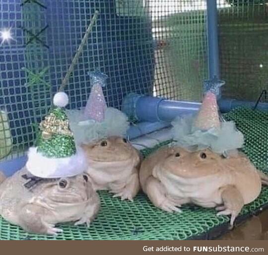 Froggo Fun #102 - Ain't no Party like a Lockdown Party