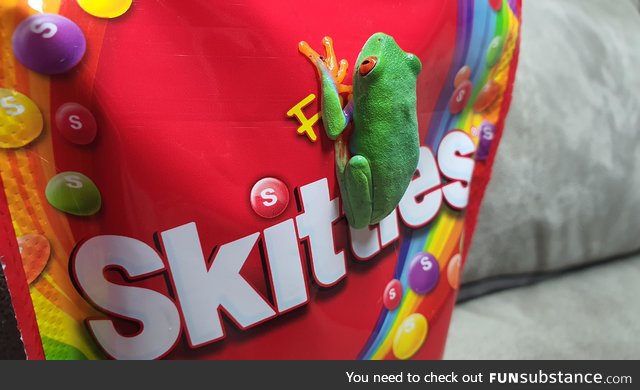 Froggo Fun #103 - Something Sweet