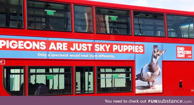 Are They?