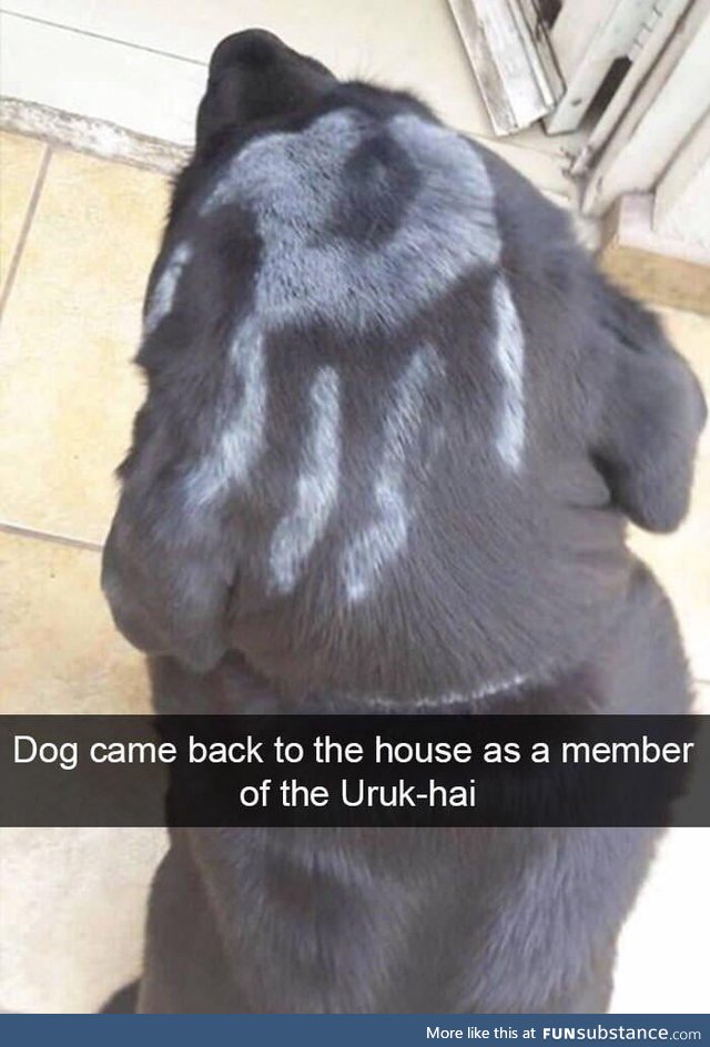 Uruk-woof ????