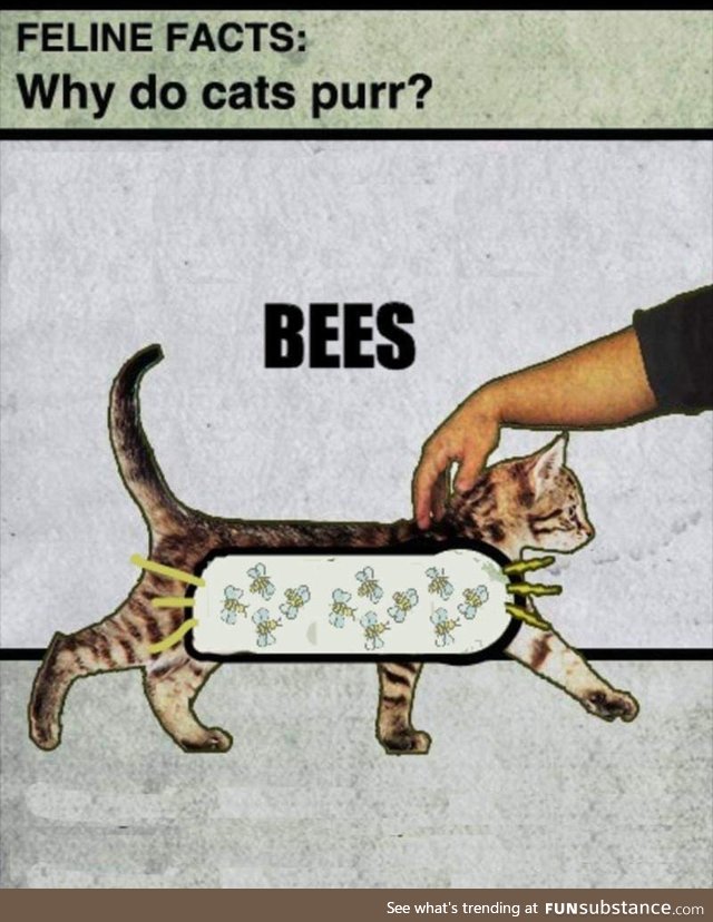 Just gotta keep the buzz going