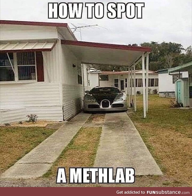 Who has seen one?