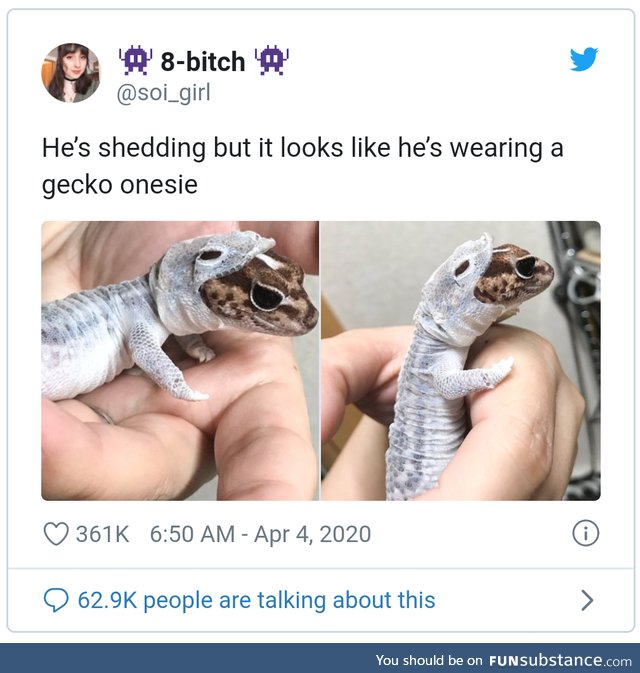 Gecko Onesie