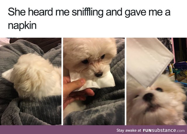A tissue for your troubles