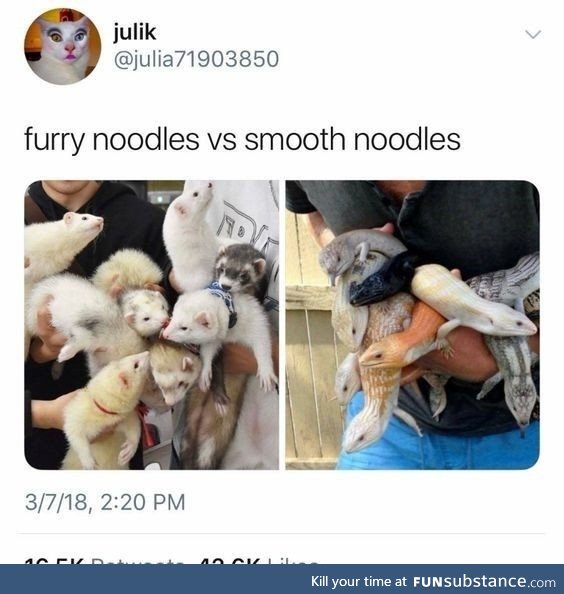 All noodles are good noodles