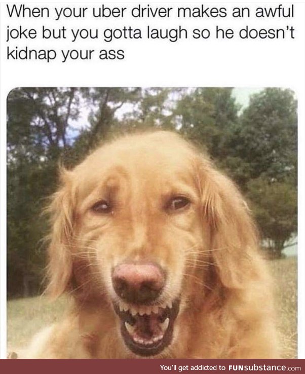 Shitting inside,  smiling outside