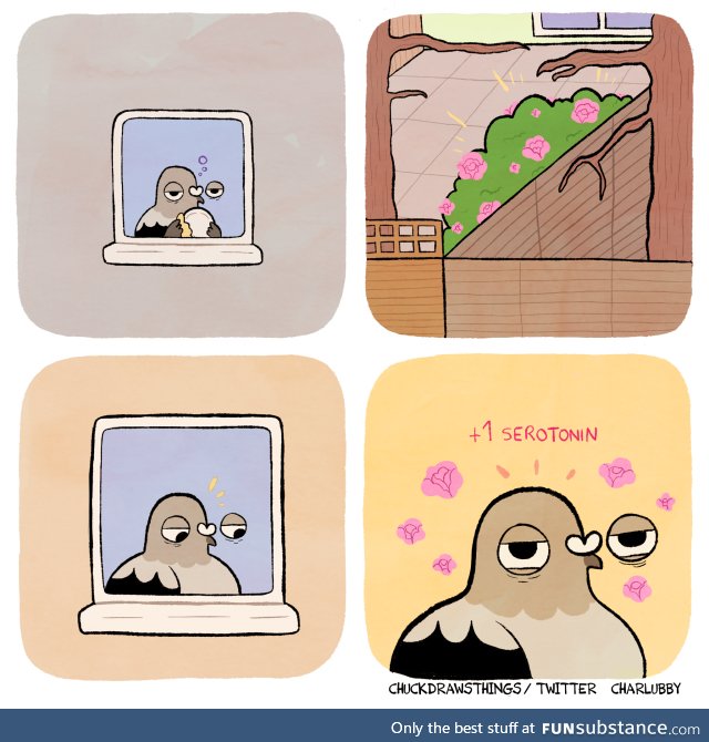 That's exactly how it works