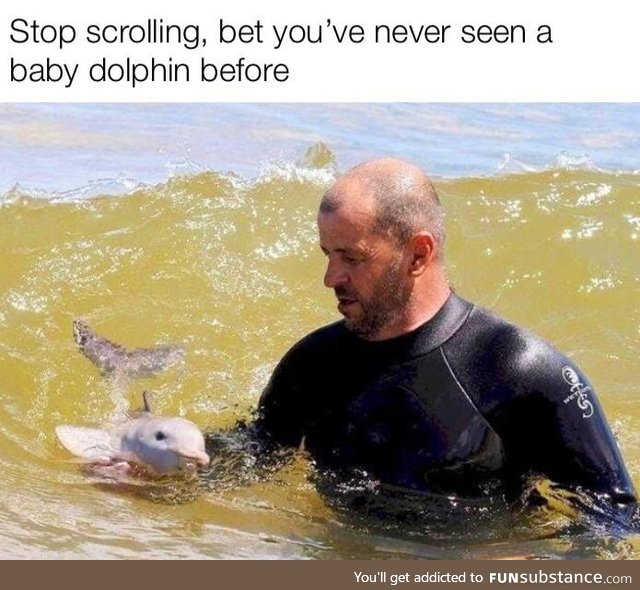Aww cute lil one