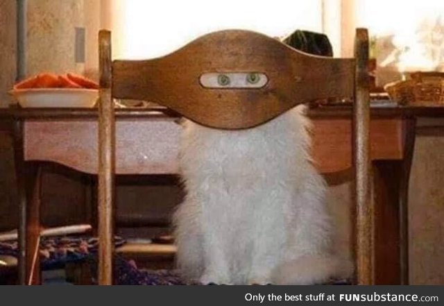 Can you open the fava beans for me?