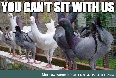 That one group at school