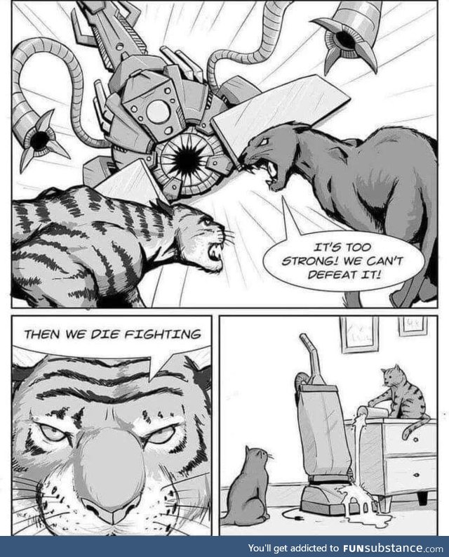 You have always wondered why