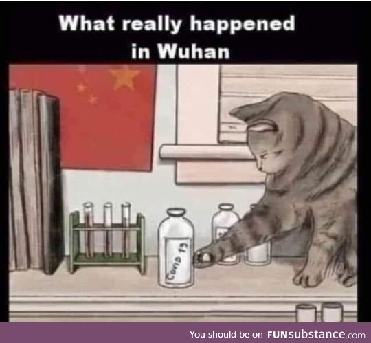 What really happened in Wuhan