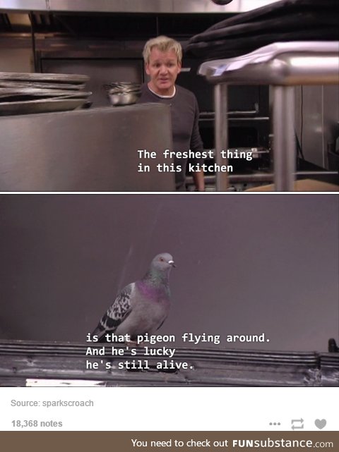 Wouldn't be his first pigeon