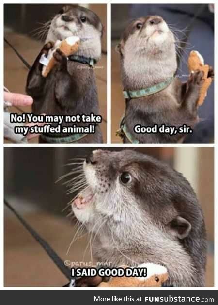 I said good day