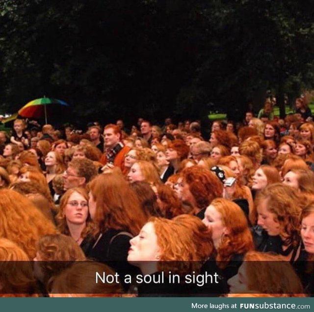 Ginger Bell Ginger Lol the Way