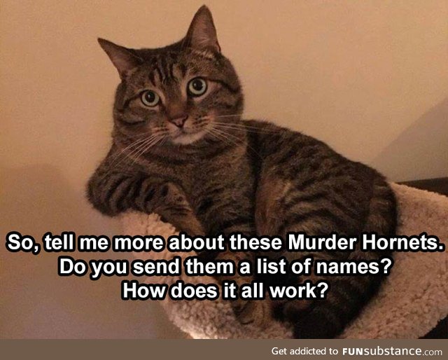 Do the murder hornets carry tiny notebooks to write the names in?
