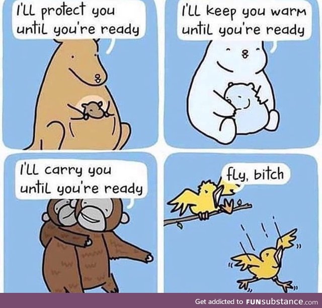 Birds do it differently