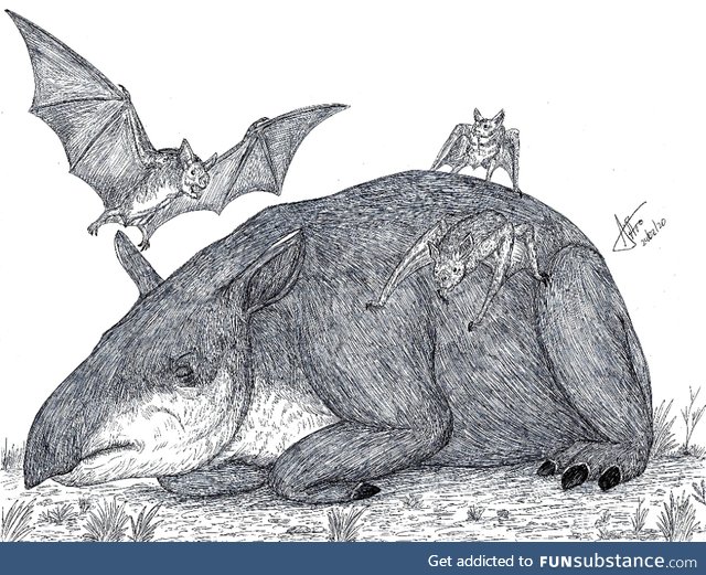 Daily Dose of Prehistory Revival 13: Desmodus draculae