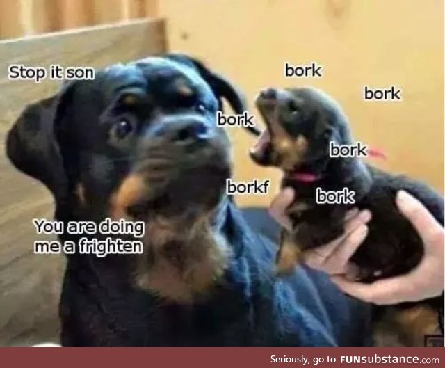 Tiny pupper doin him dad a scare