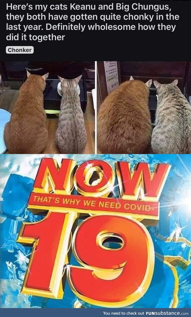 wholesome 100