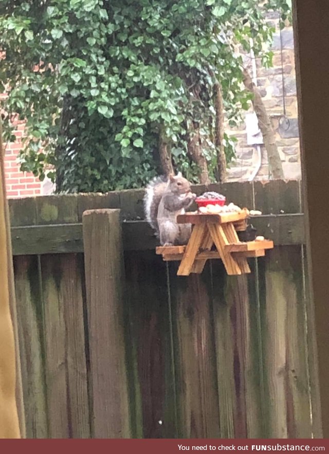 Day 12: I have a new friend