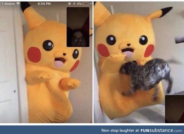 My brother got a Pikachu suit and my dog attacked