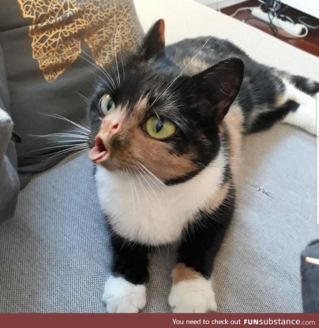 This is how little kids cough