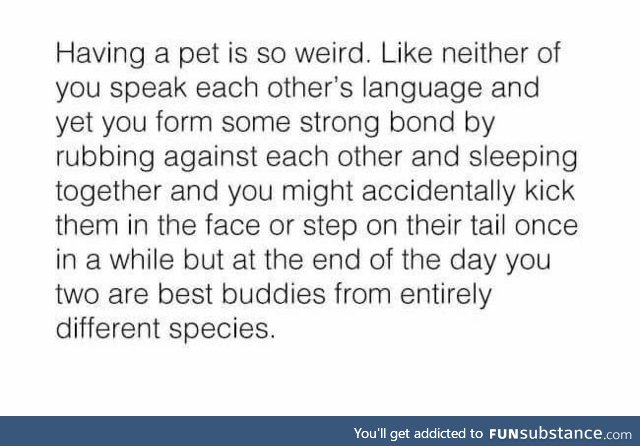 True