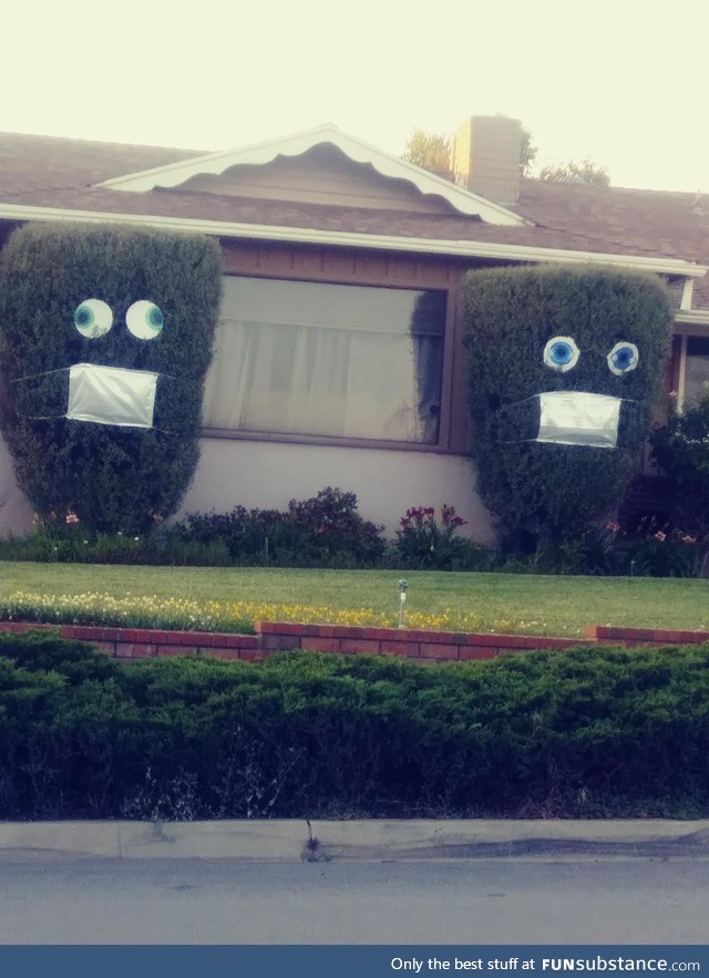 They added silly eyes to the bushes now