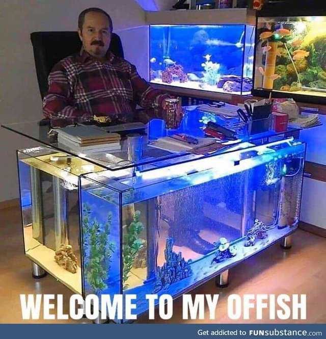 Very sofishticated